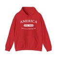 America 1776–2026 Hoodie – "250 Years of Kicking Ass" Patriotic Sweatshirt