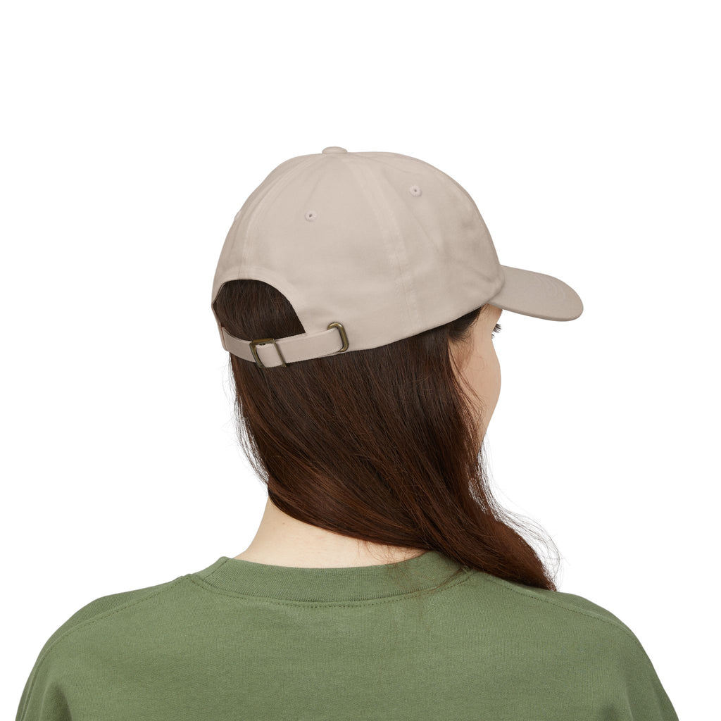 USA Embroidered Dad Cap