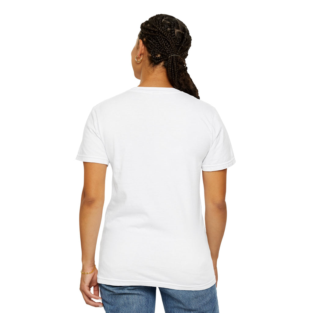 America 13 Colonies 1776 250th Anniversary T-Shirt