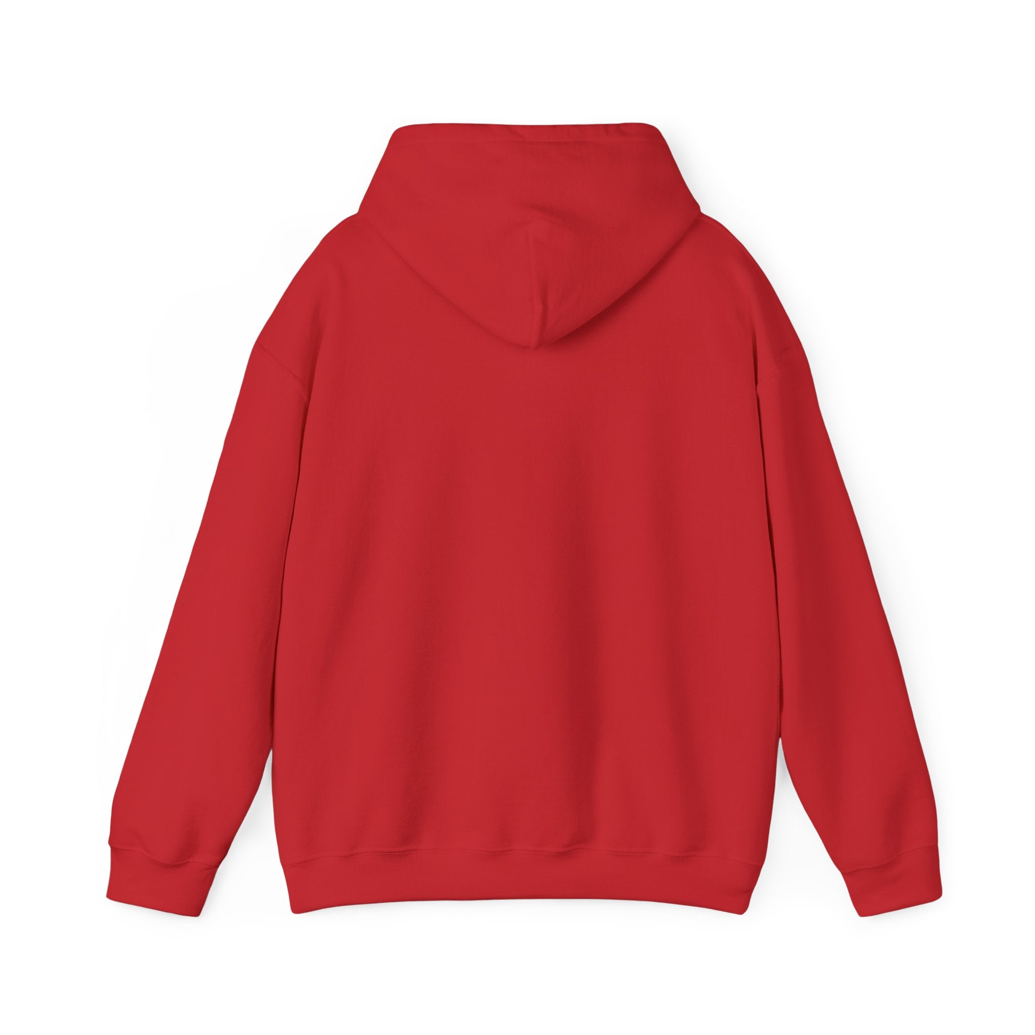 America 1776–2026 Hoodie – "250 Years of Kicking Ass" Patriotic Sweatshirt