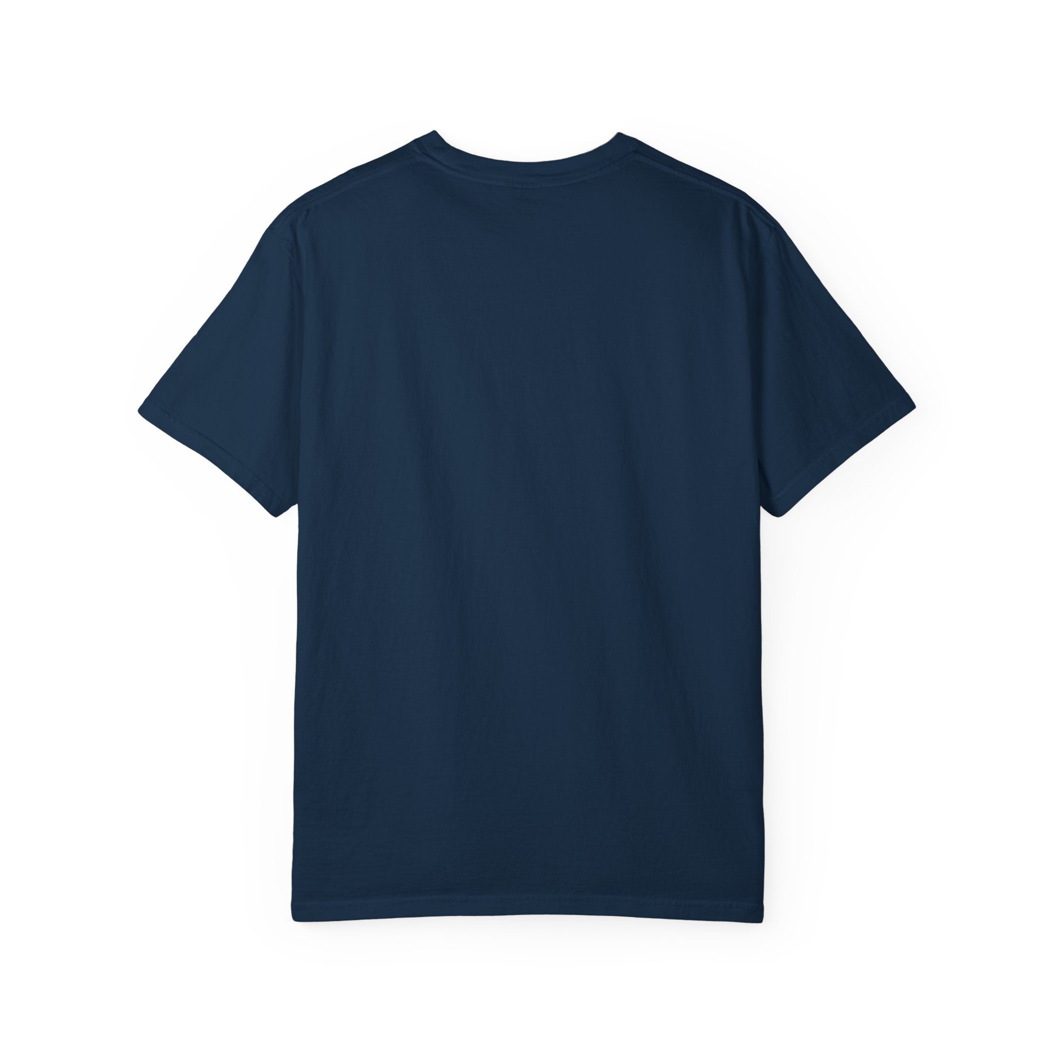 America 13 Colonies 1776 250th Anniversary T-Shirt