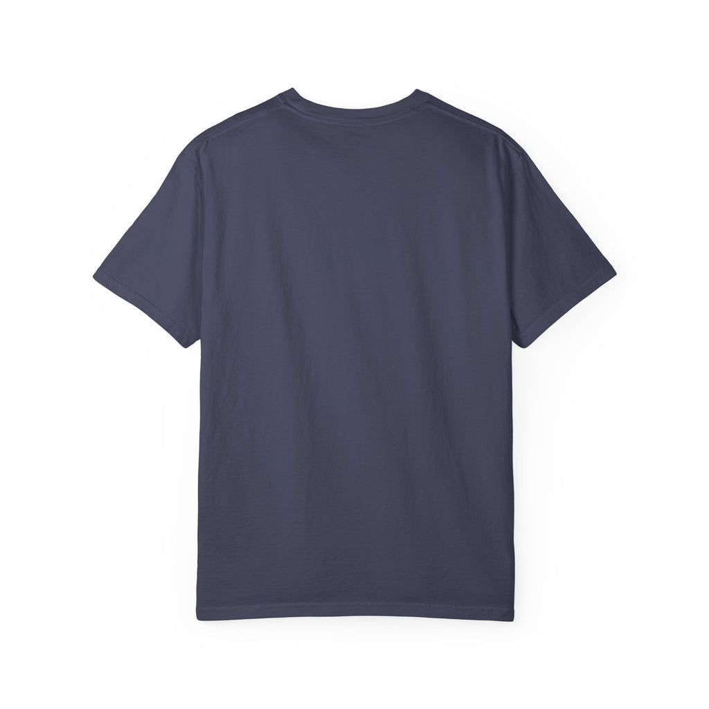 America 13 Colonies 1776 250th Anniversary T-Shirt