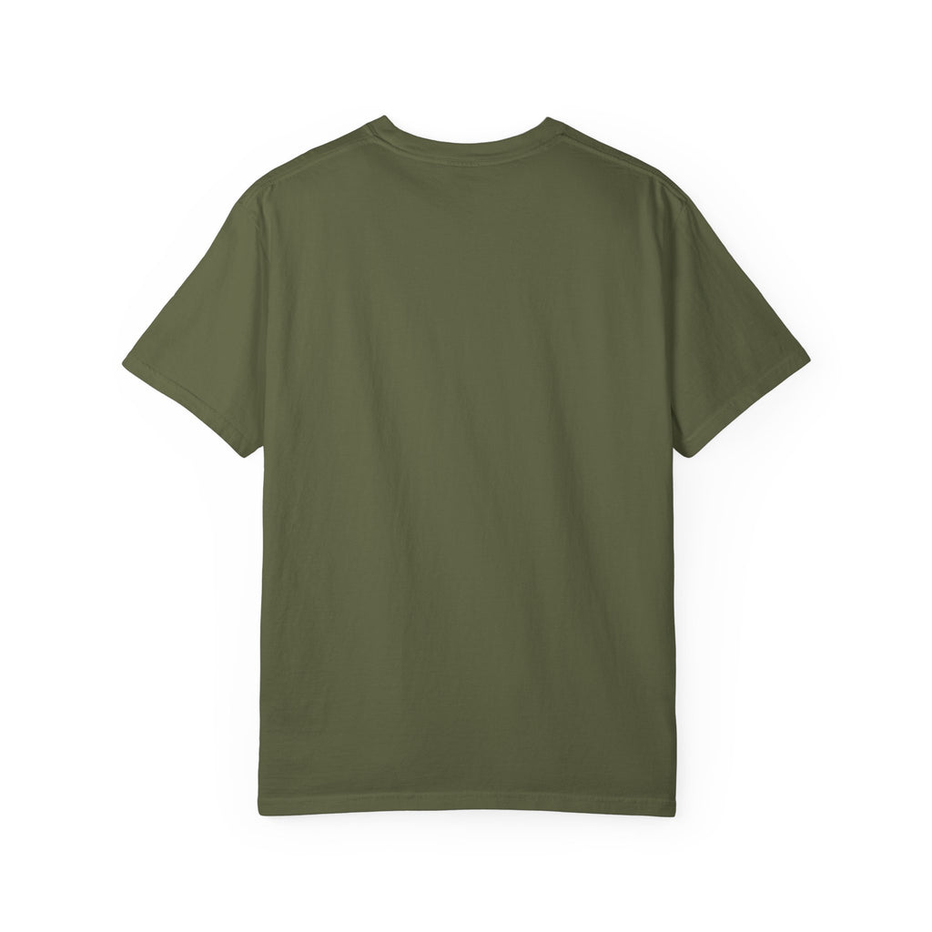 America 13 Colonies 1776 250th Anniversary T-Shirt