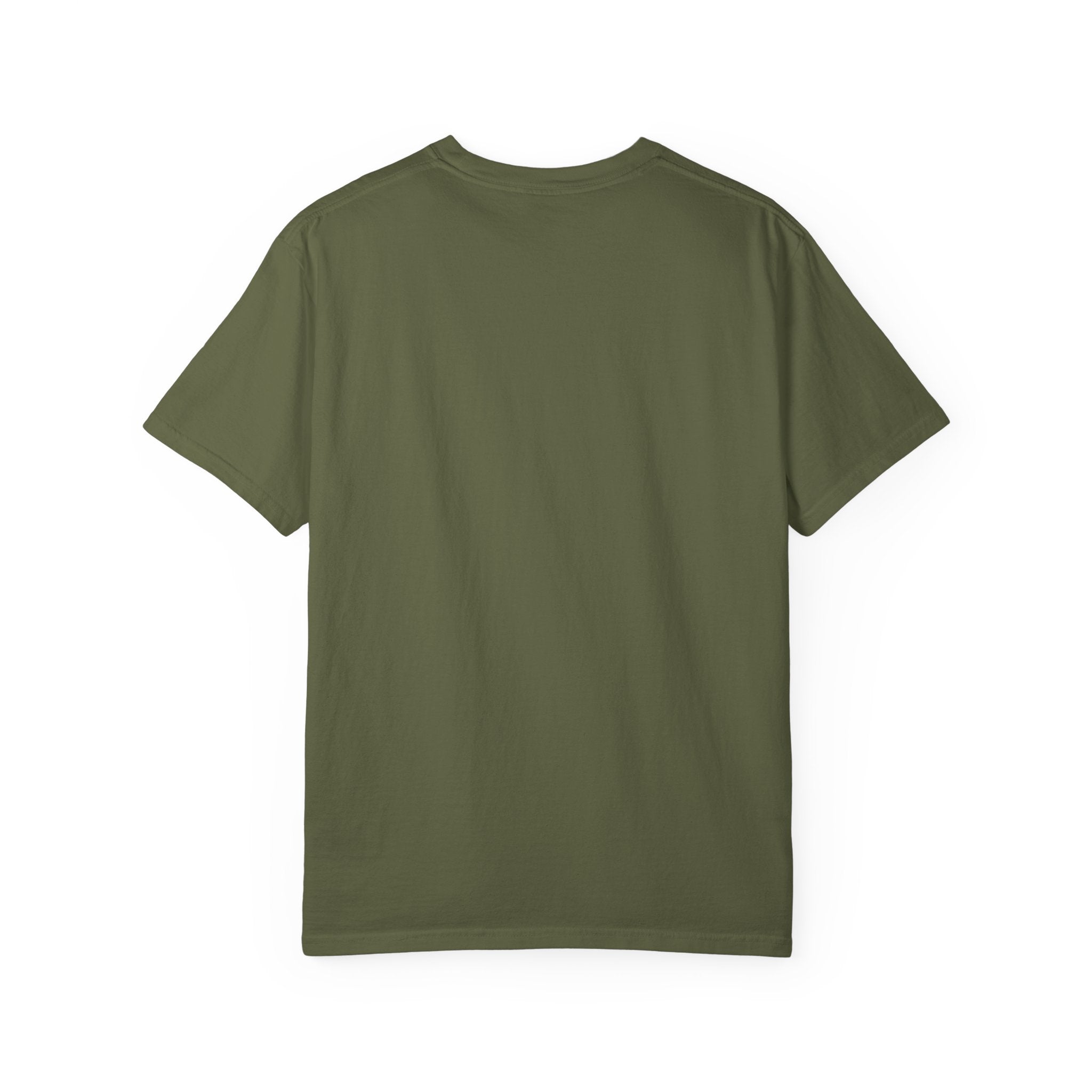 America 13 Colonies 1776 250th Anniversary T-Shirt