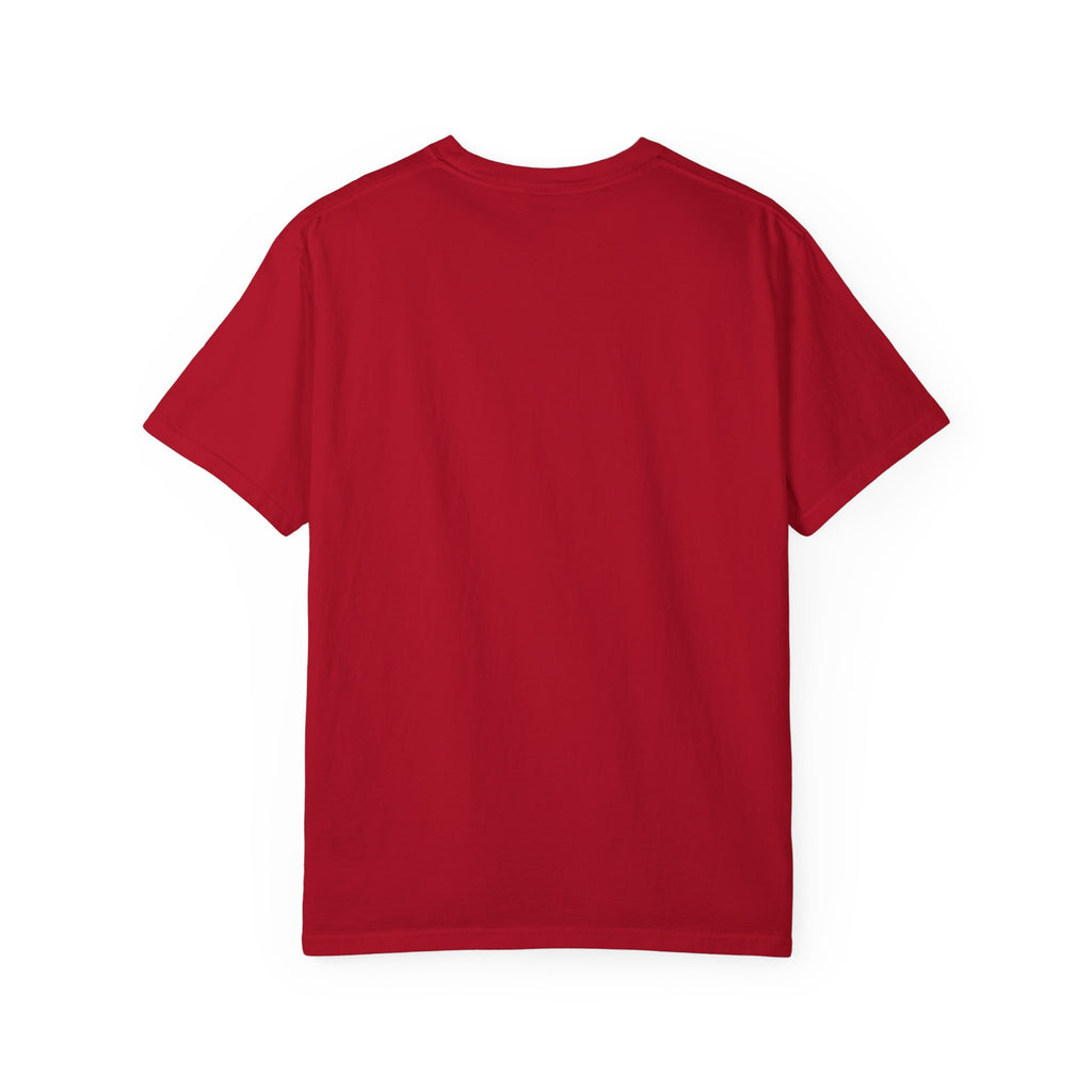 America 13 Colonies 1776 250th Anniversary T-Shirt