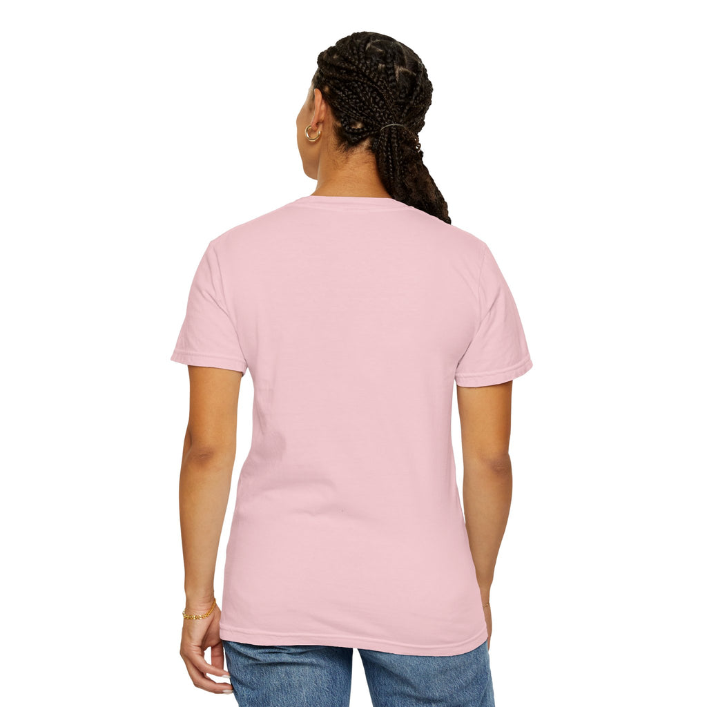America 13 Colonies 1776 250th Anniversary T-Shirt